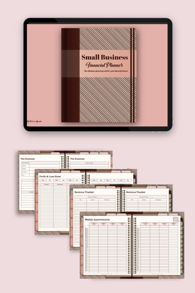 Small Business Financial Planner